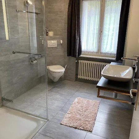 Adora Apartament Saas-Fee